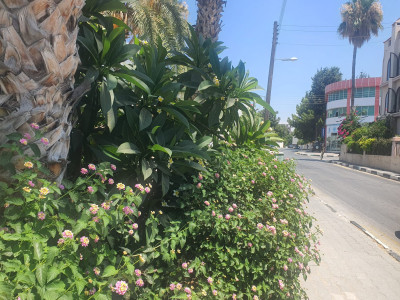 GİRNE 23 NİSAN İLKOKULU BÖLGESİNDE KİRALIK 3+1 DAİRE-31