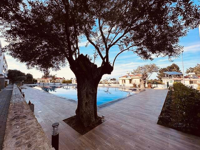 GİRNE/ALSANCAK KİRALIK LÜKS 2+1 DAİRE | FULL EŞYALI | ORTAK HAVUZLU SİTE-20