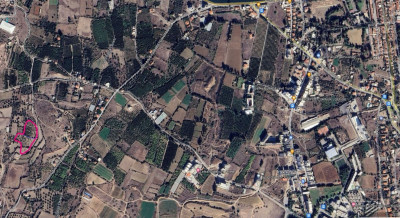 LEFKE/BAĞLIKÖY'DE SATILIK 9 DÖNÜM NARENCİYE BAHÇESİ-2