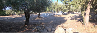 GİRNE/BELLAPAİS’TE SATILIK PREMİUM ARSA & PROJE FIRSATI-2