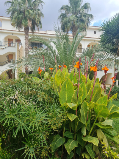 İSKELE BOĞAZ – SUNRISE BEACH CLUB SATILIK 2+1 BAHÇE MANZARALI DAİRE | DENİZE 200 METRE-27