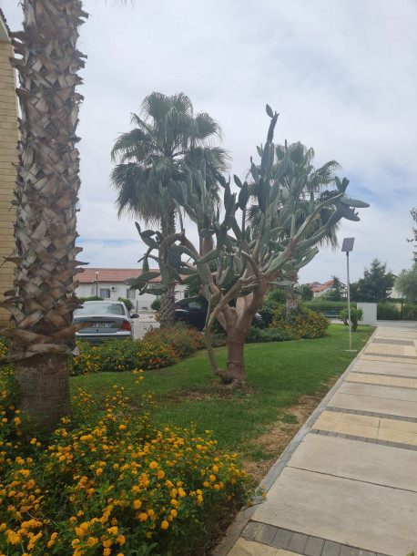 İSKELE BOĞAZ – SUNRISE BEACH CLUB SATILIK 2+1 BAHÇE MANZARALI DAİRE | DENİZE 200 METRE-37
