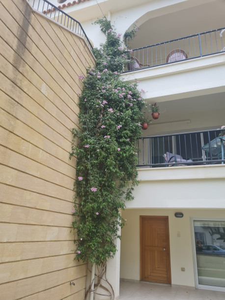 İSKELE BOĞAZ – SUNRISE BEACH CLUB SATILIK 2+1 BAHÇE MANZARALI DAİRE | DENİZE 200 METRE-31