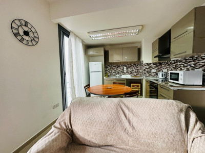 LEFKOŞA/DUMLUPINAR'DA GÜNLÜK KİRALIK 2+1 DAİRE-4
