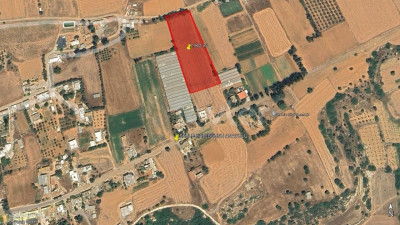 🏡 GELİNCİK KÖYÜ’NDE SATILIK İMARLI ARSA – 7.900 m²-7