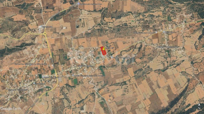 🏡 GELİNCİK KÖYÜ’NDE SATILIK İMARLI ARSA – 7.900 m²-4