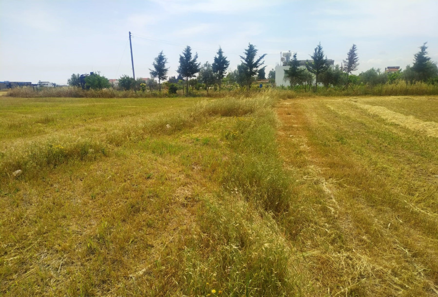 İSKELE/KUZUCUK'TA SATILIK ARAZİ-4