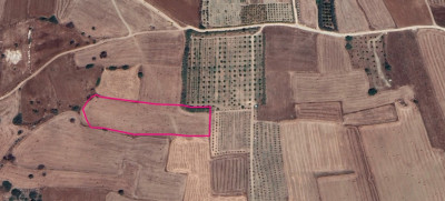 GİRNE/KORUÇAM'DA SATILIK TARIMSAL ARAZİ-2