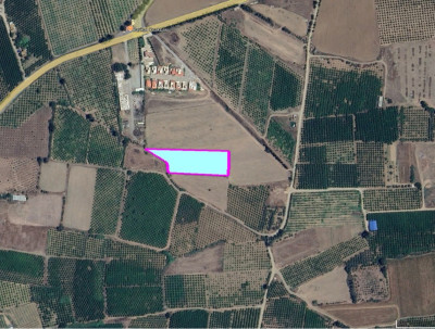 GÜZELYURT ELEKTRİK SANTRALİ BÖLGESİNDE SATILIK 4,5 DÖNÜM TARLA-2