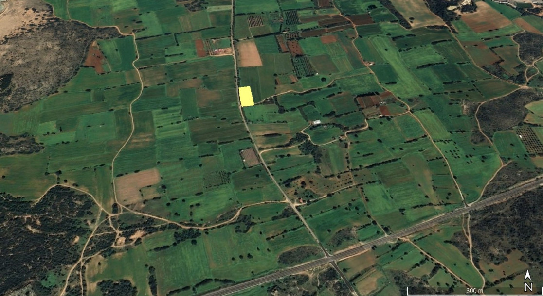 İSKELE/YENİ ERENKÖY'DE SATILIK TARLA-1